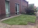Schoonoord