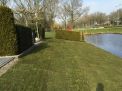 Veendam